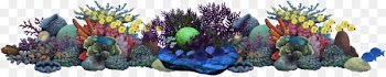 Coral reef Underwater Alcyonacea Sea - sea 