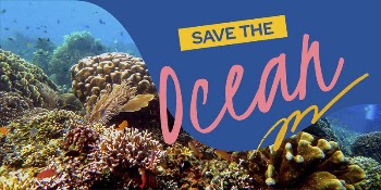 Coral reefs  Twitter post | Free PSD Template - rawpixel