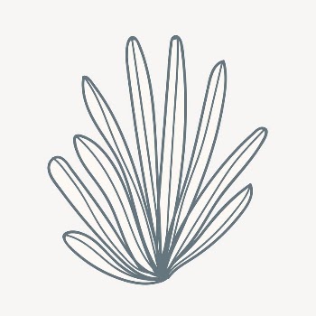 Coral shape doodle collage element, | Free PSD - rawpixel