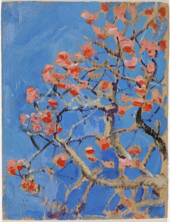 Coral tree in blossom (1909 | Free Photo - rawpixel