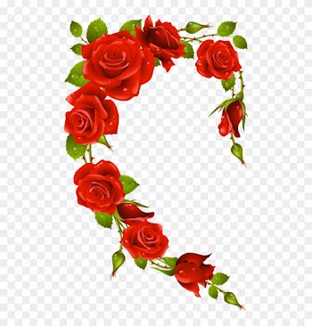 Corazones (496×800) - Red Rose In Lover