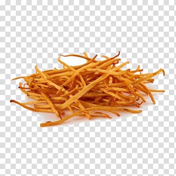 Cordyceps Caterpillar fungus, Cordyceps vegetables transparent background PNG clipart