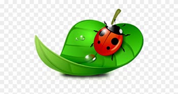 Coreldraw Computer Software Ladybird - Ladybugs In Leaf Clipart
