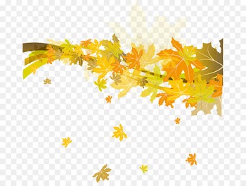 CorelDRAW Template - Beautiful autumn leaves leaves 