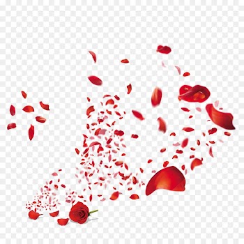 CorelDRAW Toner Adobe Illustrator - Rose petal 