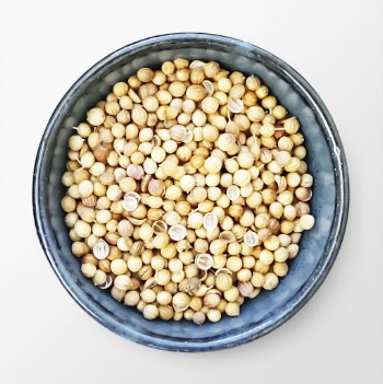 Coriander seeds in a bowl, | Free Photo - rawpixel