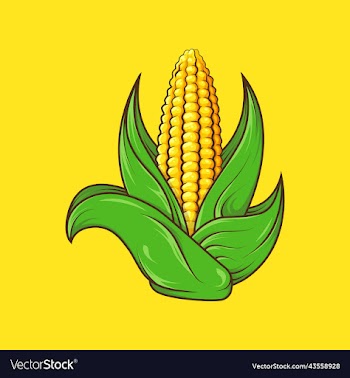 corn