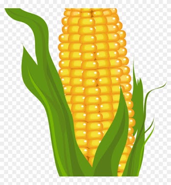 Corn Clipart Corn Clip Art Free Free Clipart Images - Free Clip Art Corn