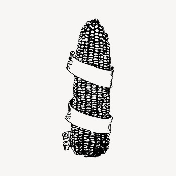 Corn drawing, vintage vegetable illustration | Free Vector Illustration - rawpixel