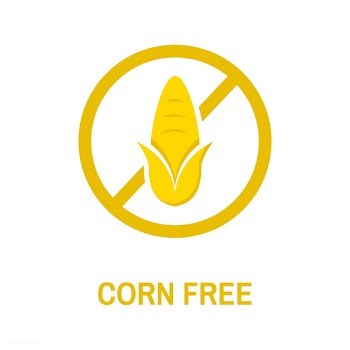 Corn free design food allergy | Free stock vector - 396195
