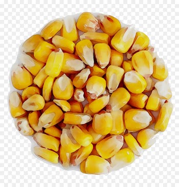 Corn kernel Vegetarian cuisine Food Mixture -  