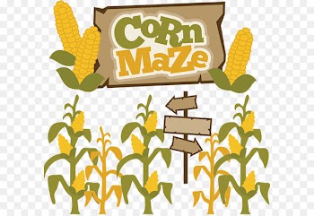 Corn maze Pumpkin Clip art - Fall Corn Cliparts 