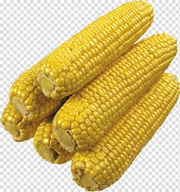 Corn on the cob Candy corn Flint corn Sweet corn Cereal, corn transparent background PNG clipart
