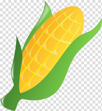 Corn on the cob Candy corn Popcorn Maize , Indian Corn transparent background PNG clipart