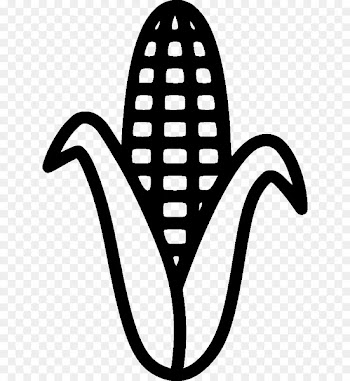 Corn On The Cob, Corn, Corn Kernel, Coloring Book, Plant PNG