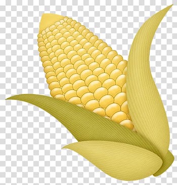 Corn on the cob Fruit Autumn , autumn transparent background PNG clipart