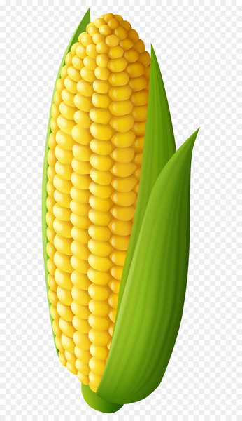 Corn on the cob Maize Clip art - Corn Transparent PNG Clip Art Image 