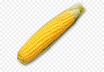Corn on the cob Maya civilization Aztec cuisine Inca cuisine Inca Empire - chocolate 