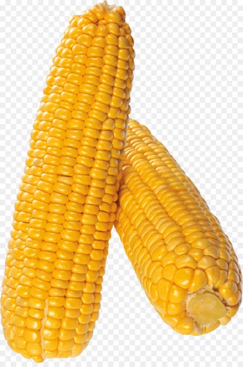 Corn on the cob Sweet corn Corn kernel Field corn Corncob - popcorn 