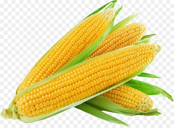 Corn on the cob Sweet corn Maize Baked potato 1st Choice Fruit & Veg - corn 