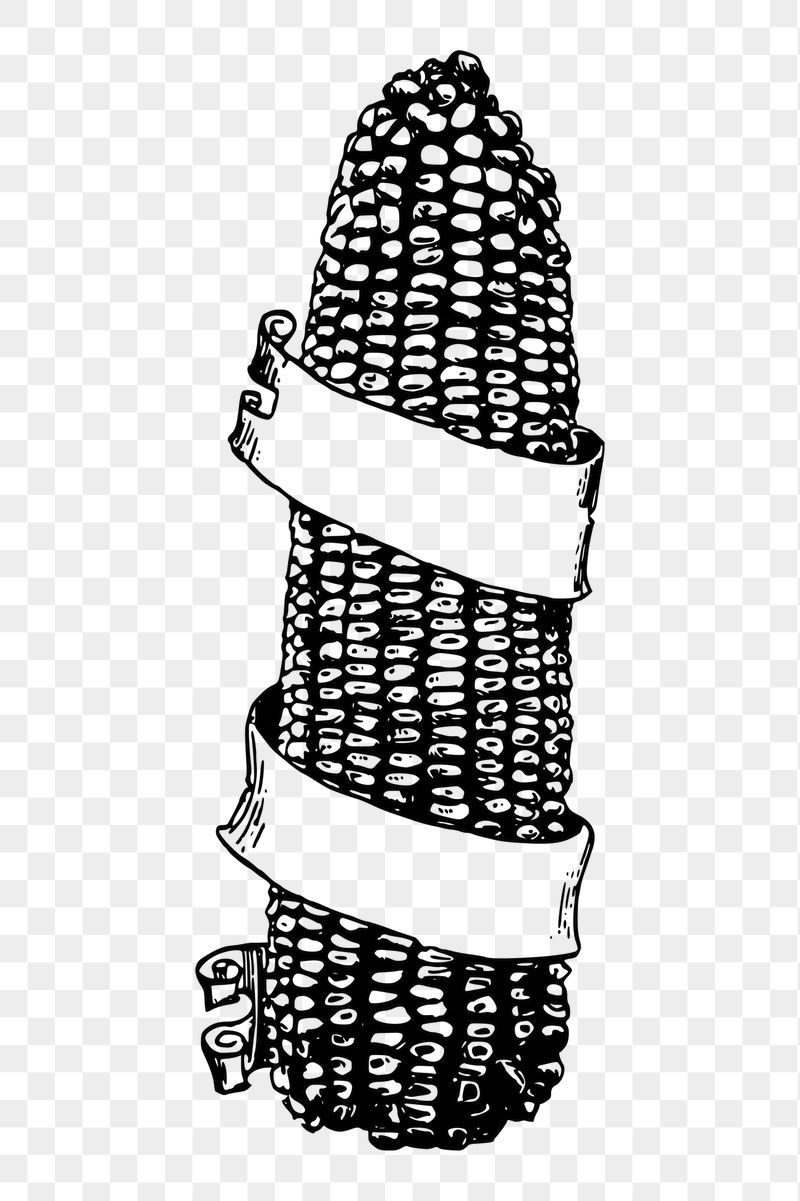 Corn png sticker, vintage vegetable | Free PNG - rawpixel