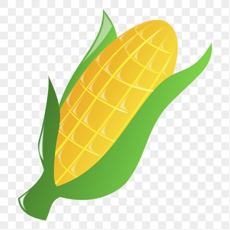 Corn, vegetable png sticker, transparent | Free PNG - rawpixel