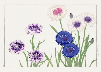 Cornflower flower, Japanese woodblock art | Free Photo Illustration - rawpixel