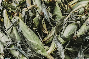 Corns With Skins