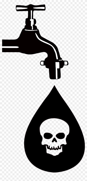 Cornucopia Clipart Food And Water - Poison Water Shower Curtain