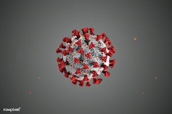 Coronavirus on a gray background | Free  photo - 2302324