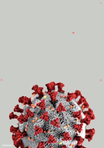 Coronavirus on a gray background | Free  photo - 2302615