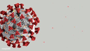 Coronavirus on a gray background | Free  photo - 2302617