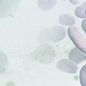 Coronavirus pandemic social banner template | Free Photo - rawpixel