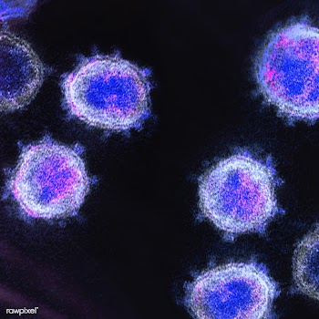 Coronavirus under a microscope on a black background illustration | Free  illustration - 2309221