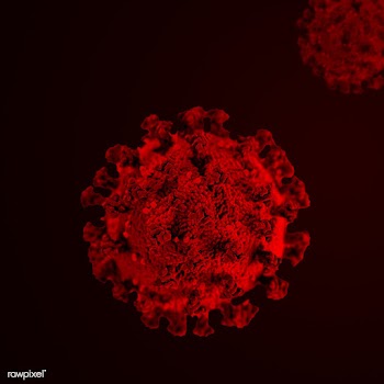Coronavirus under the microscope | Free  illustration - 2306377