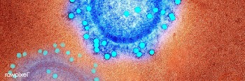 Coronavirus under the microscope | Free  illustration - 2307490