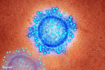 Coronavirus under the microscope | Free  illustration - 2307493