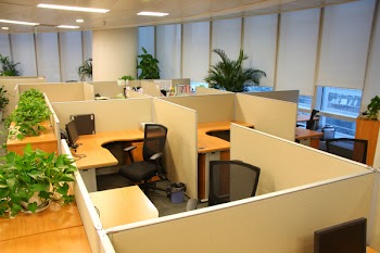 Corporate office settings showing desks, cubicles, files, and conference space