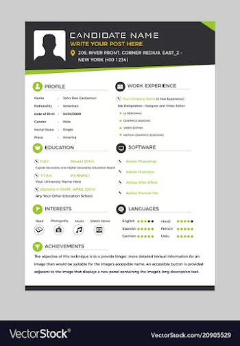 Corporate resume vector image
