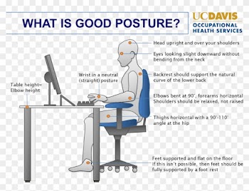 Correct Sitting Posture For Computer - Uc Davis Medical Center