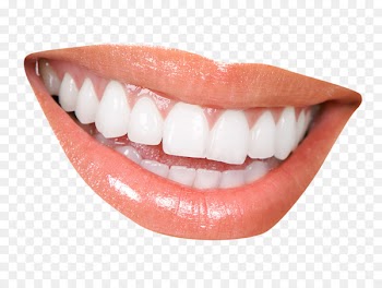 Cosmetic dentistry Clinic Periodontology - Teeth 