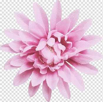 Cosmetics Color Summer , Floral background material transparent background PNG clipart
