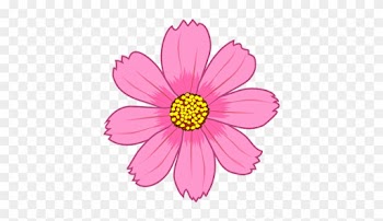 Cosmos Flower - Cosmos Flower Clipart