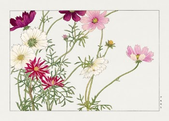 Cosmos flower, Japanese woodblock art | Free Photo Illustration - rawpixel