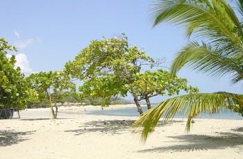 costambarbeachleft2.jpg