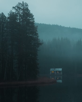 Cottage Near Bank Of Lake