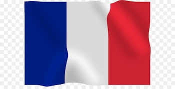Cottbus Black Elster Stacy Middle School December January - France flag PNG 