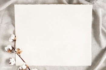 Cotton flower branch on a paper mockup over a creased gray fabric back.. | Free  transparent png - 2344505