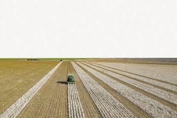 Cotton harvest border collage element, | Free PSD - rawpixel