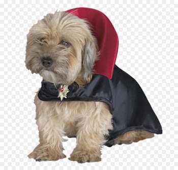 Count Dracula Dog Cat Disguise - Dog clothes 